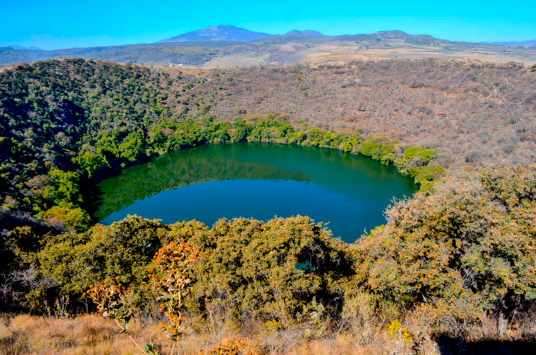 Alberca de Los Espinos