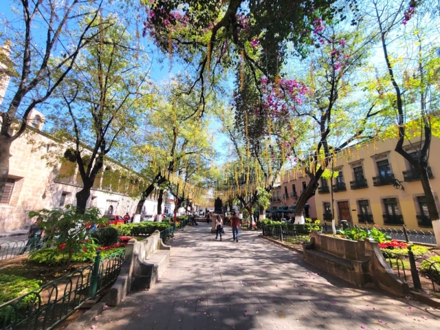 Jardín de las Rosas