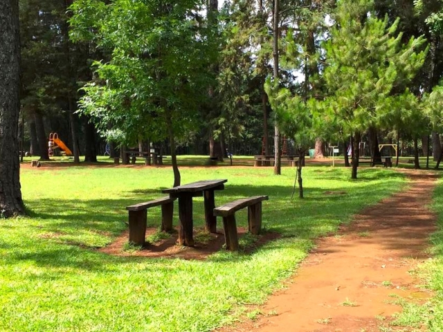 Parque la Pinera