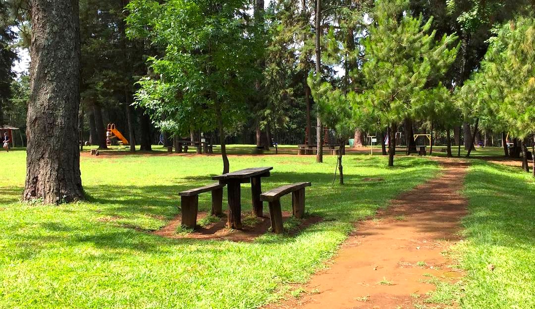 Parque la Pinera